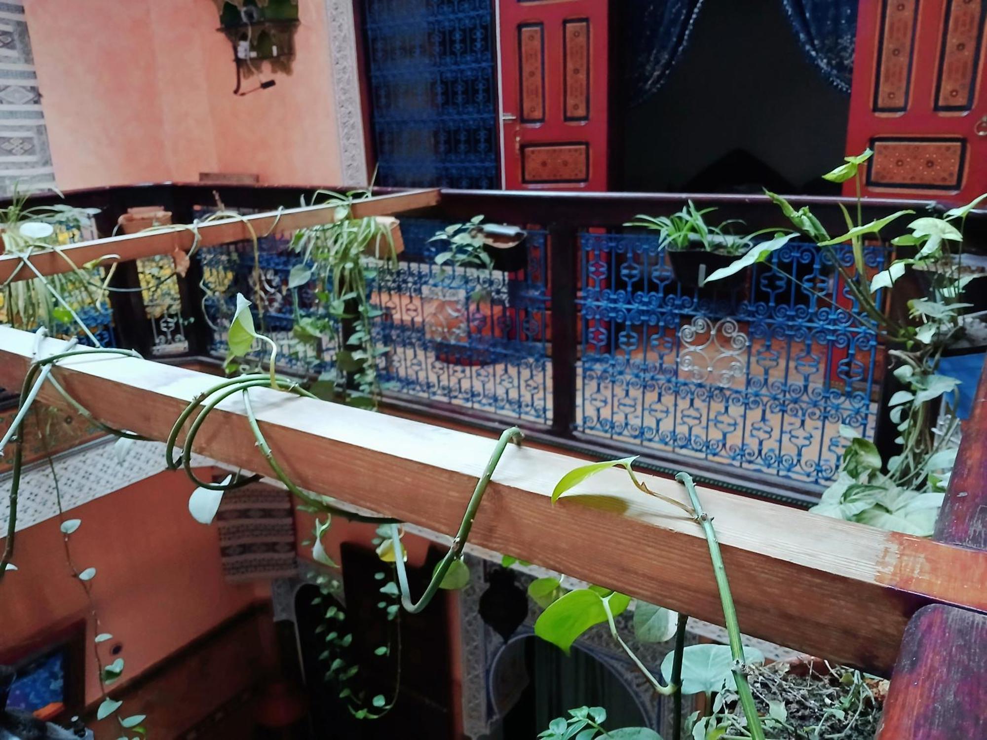 Riad Idrissi 메크네스 외부 사진